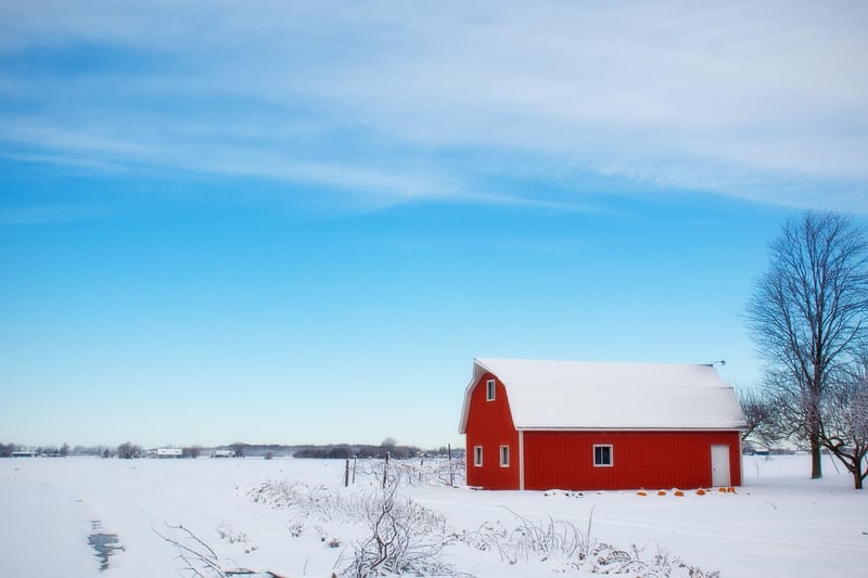 Bohemian Barns